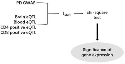 Identification of Parkinson’s Disease-Causing Genes via Omics Data